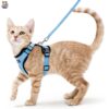 Rabbitgoo Cat Harness and Leash for Walking