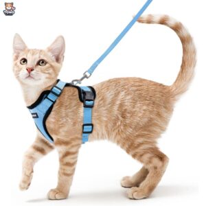 Rabbitgoo Cat Harness and Leash for Walking