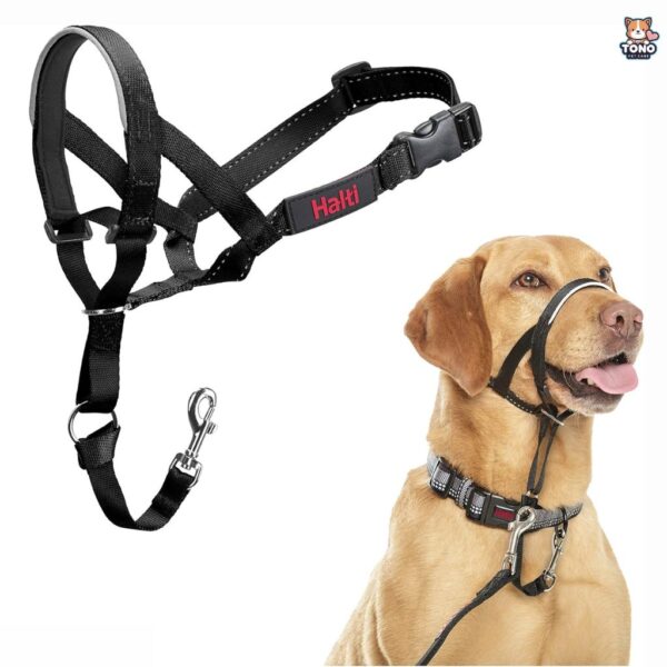 Dog Training Anti-Pull Collar